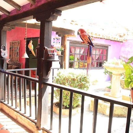 Posada San Martin 莱瓦镇 外观 照片
